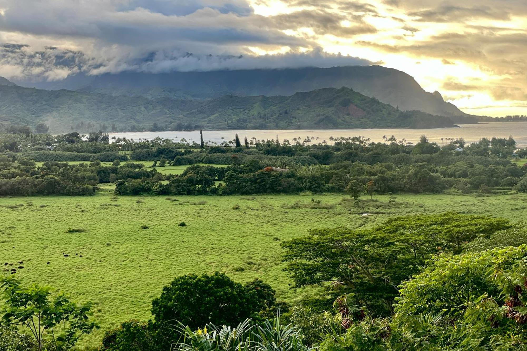 View House Tower! Βίλα Princeville Εξωτερικό φωτογραφία